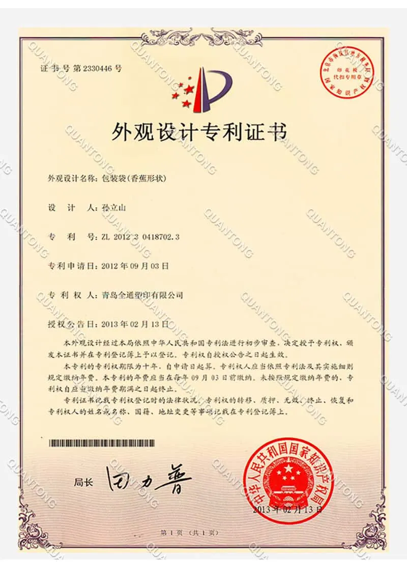 Banana Stick Bag Design Patent Certificate